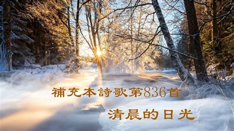 補充本839|詩歌： 清晨的日光